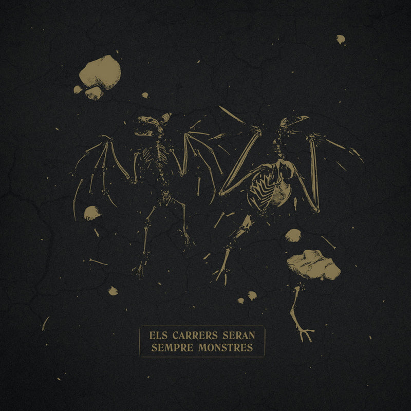 ELS CARRERS SERAN SEMPRE MONSTRES Diversos LP